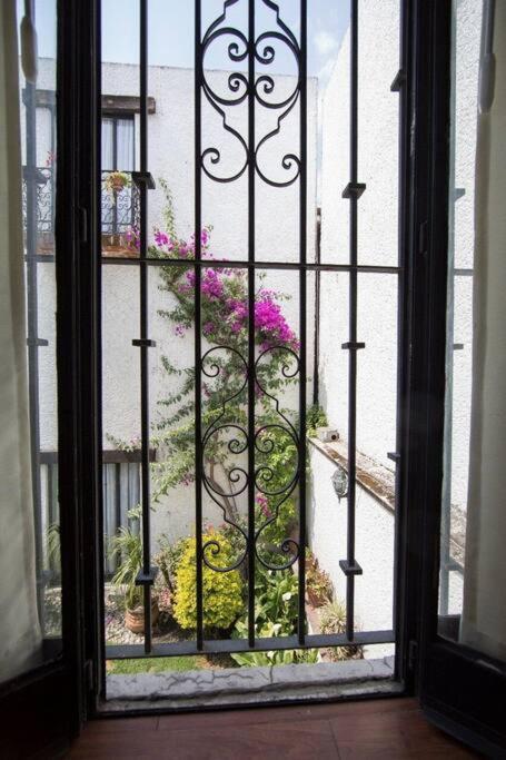 Villa Casa Ayvar. Espectacular Villa Colonial En El Corazon De Coyoacan. Мехико Экстерьер фото
